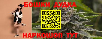дживик Новозыбков