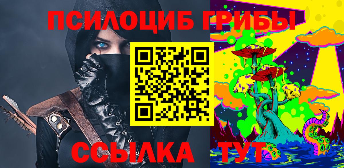Псилоцибиновые грибы Psilocybine cubensis  Галлюциногенные грибы мицелий  Соль-Илецк  Вход с VPN 